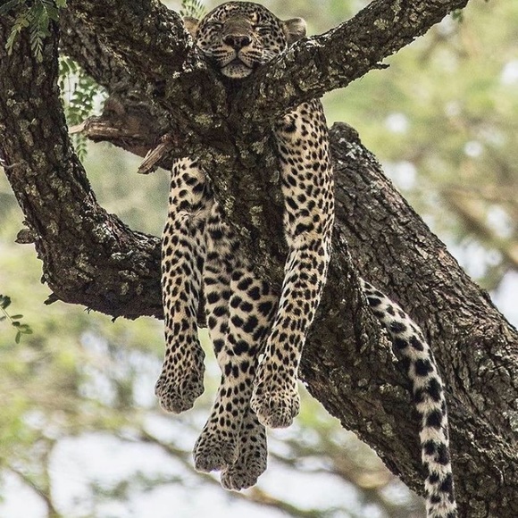 Meet your Posher, Nadya - Picture 1 of 1